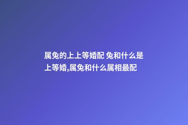 属兔的上上等婚配 兔和什么是上等婚,属兔和什么属相最配-第1张-观点-玄机派